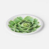 Artischocke Pappteller (Schrägansicht)