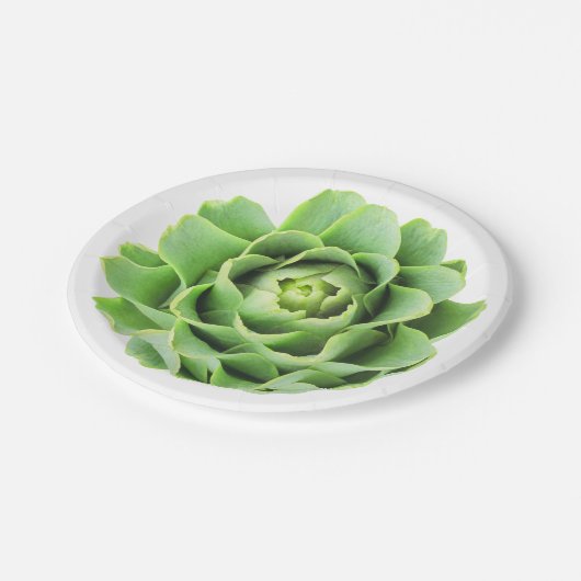 Artischocke Pappteller (Schrägansicht)