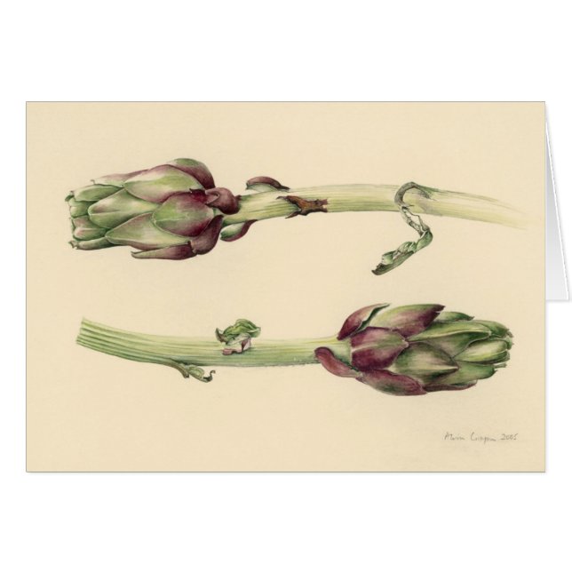 Artischocken 2005 (Vorderseite (Horizontal))