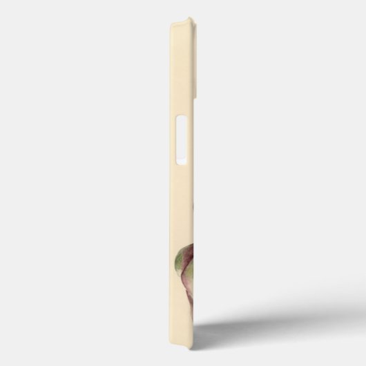 Artischocken 2005 Case-Mate iPhone hülle (Rückseite / Rechts)