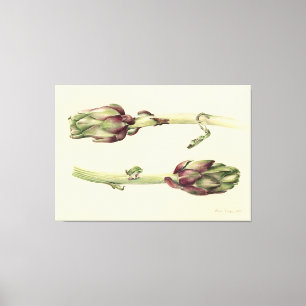 Artischocken 2005 leinwanddruck