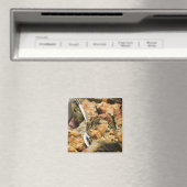 Artischocken mit Gratin Magnet (In Situ (Geschirrspüler))