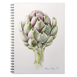 Artischocken-Studie 1993 Notizblock