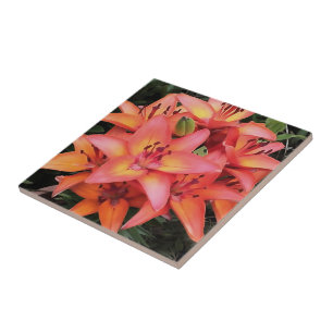 Artisitc Coral Colored Garden Lilies Fliese