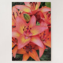 Artisitc Coral Colored Garden Lilies