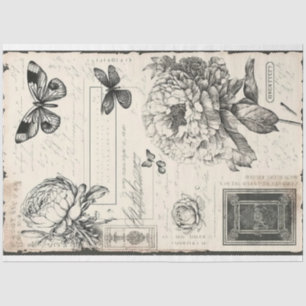 Artist Large Vintag Peony Butterfly Schwarz-weiß Seidenpapier
