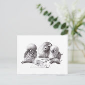 Artist Owls Postkarte (Stehend Vorderseite)