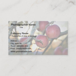 Artist/Photographer/Digital Art Visitenkarte