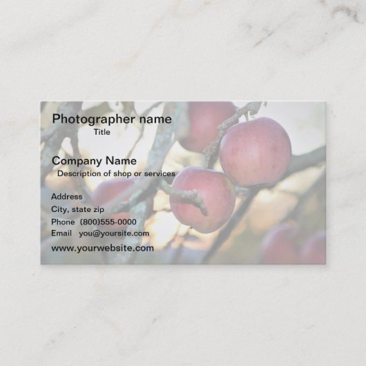 Artist/Photographer/Digital Art Visitenkarte (Vorderseite)