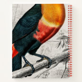 Artist Zeichnend Toucan Bird Sketchbook Individuel Notizblock (Rückseite)