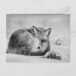 *~* Artistic Animal Red Fox Ap18 Künstlerisch Wild Postkarte
