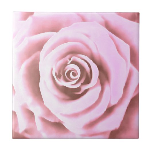 Artistic Big Bale Pink Rose Fliese (Vorderseite)