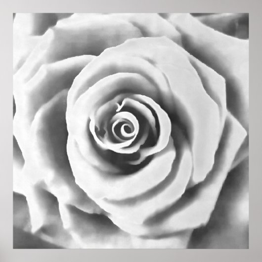 Artistic Big White Rose Poster (Vorne)