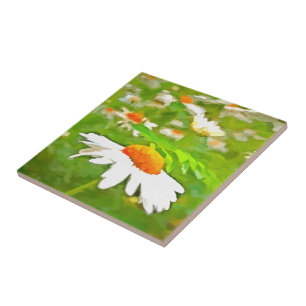 Artistic Bright Colorful White Garden Daisis /5 Fliese