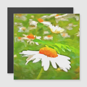 Artistic Bright Colorful White Garden Daisis /5 Magnetkarte