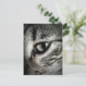 Artistic Cat Eye Postkarte (Stehend Vorderseite)