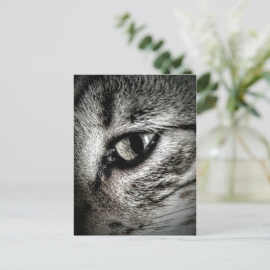 Artistic Cat Eye Postkarte (Stehend Vorderseite)