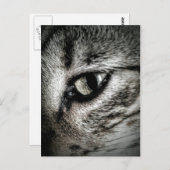 Artistic Cat Eye Postkarte (Vorne/Hinten)