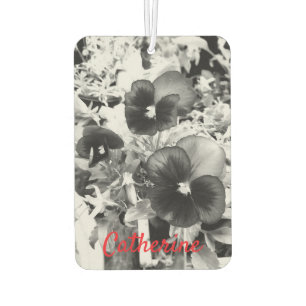 Artistic Monochrome Pansy Florida Nature Foto Autolufterfrischer