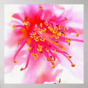 Artistic Peach Blossom Macro Abstrakt Poster