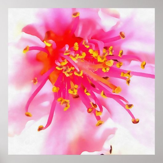 Artistic Peach Blossom Macro Abstrakt Poster (Vorne)