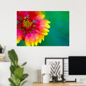 Artistic rendition of Indian Blanket flower Poster (Heimbüro)