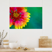 Artistic rendition of Indian Blanket flower Poster (Küche)