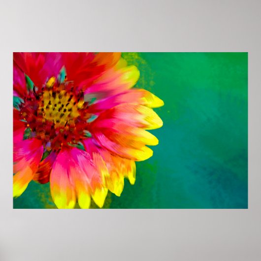 Artistic rendition of Indian Blanket flower Poster (Vorne)