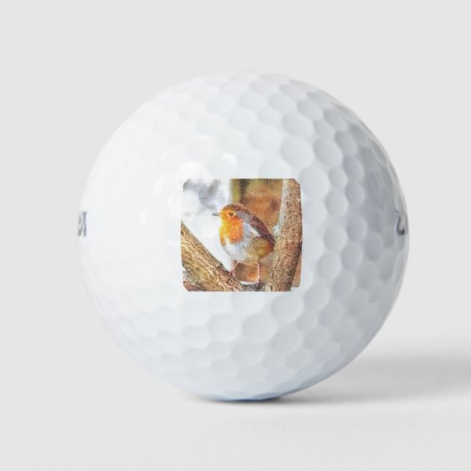 Artistic Robin Redust Perched Golfball (Vorderseite)
