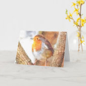 Artistic Robin Redust Perched Karte (Gelbe Blume)