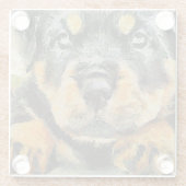 Artistic Rottweiler Puppy Portrait Glasuntersetzer (Rückseite)