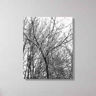 Artistic Snowy Tree Branches B & W Fotografy Leinwanddruck