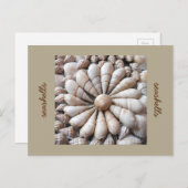 Artistische Seashell Circle Post Card Postkarte (Vorne/Hinten)