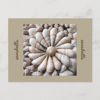 Artistische Seashell Circle Post Card Postkarte