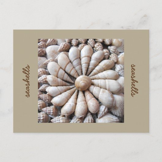 Artistische Seashell Circle Post Card Postkarte (Vorderseite)