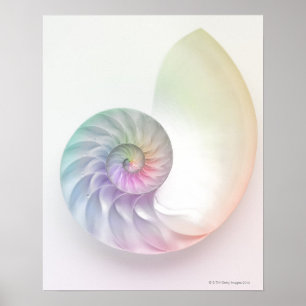 Artistisches Nautilus-Bild Poster