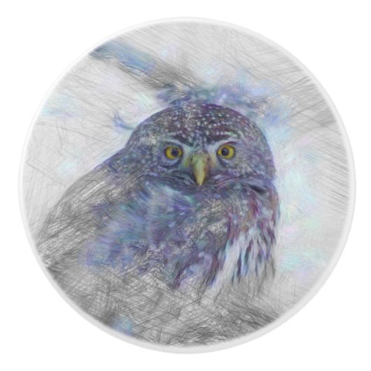Artistisches Owl Keramikknauf (Vorderseite)