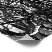 Artsy Black and White Tree Modern Poster (Ecke)