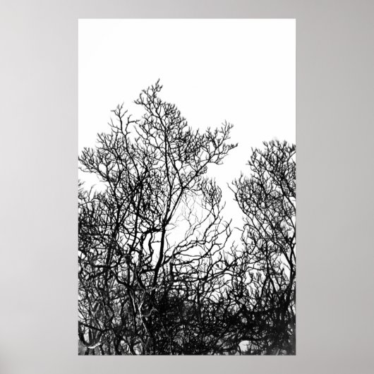 Artsy Black and White Tree Modern Poster (Vorne)