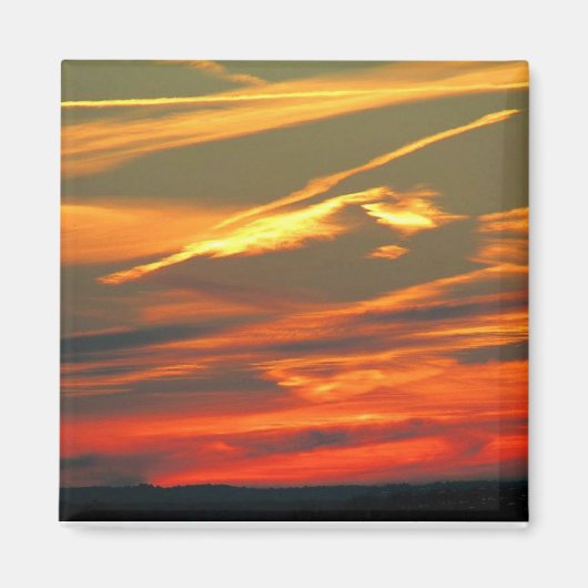 Artwork der Natur Magnet (Vorne)