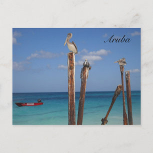 Aruba, Blauer Himmel im Paradies Postkarte