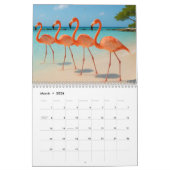 ARUBA DAYS KALENDER (Mär 2026)