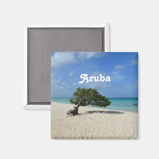 Aruba Divi Divi Tree Magnet (Vorderseite/Rückseite)