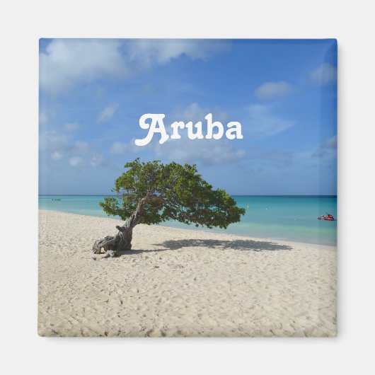 Aruba Divi Divi Tree Magnet (Vorne)