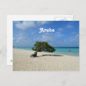 Aruba Divi Divi Tree Postkarte (Vorne/Hinten)