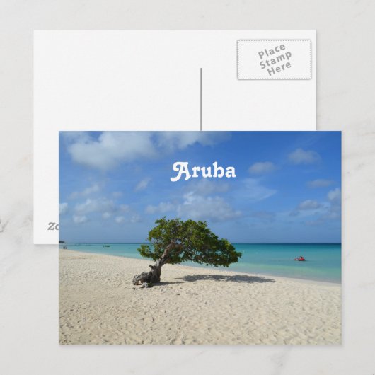 Aruba Divi Divi Tree Postkarte (Vorne/Hinten)