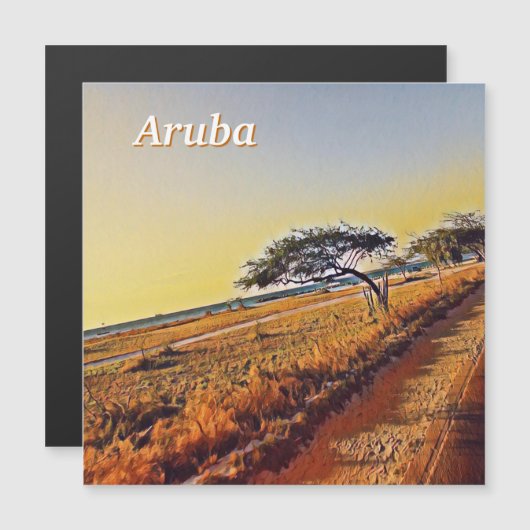 Aruba Divi Divi Trees Magnetkarte (Vorne/Hinten)