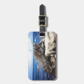 Aruba Divi Tree am Ozean Gepäckanhänger (Vorderseite vertikal)