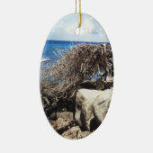Aruba Divi Tree am Ozean Keramikornament (Rechts)