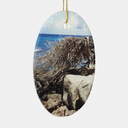 Aruba Divi Tree am Ozean Keramikornament (Rechts)